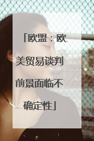 欧盟：欧美贸易谈判前景面临不确定性